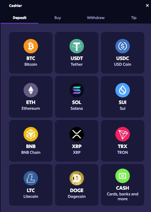 Roobet Payment Methods