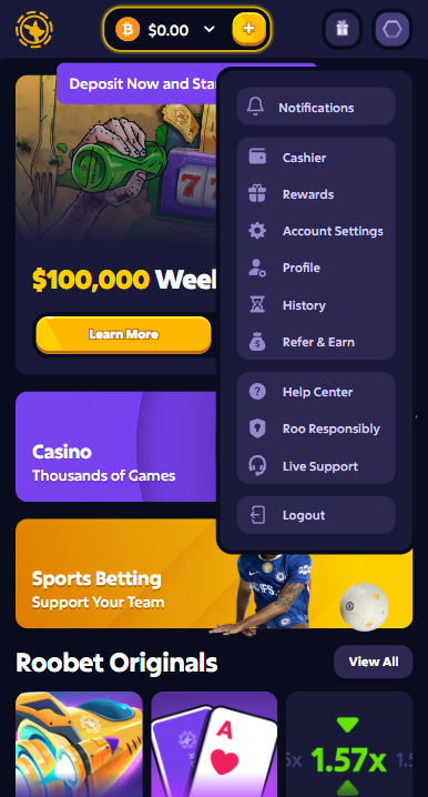 Step 4 - Roobet Sign Up Complete